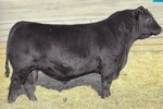 Ellingson Three Rivers 8062 (AAA19203618)