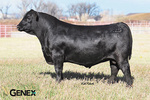 GAR-Ashland (AAA18217198)