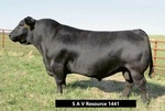 S A V Resource 1441 (AAA17016597)