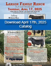 2025 April Catalog